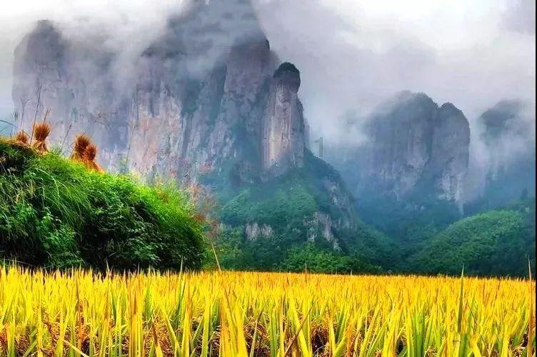 深入探索地面铺瓷砖,踢脚线用什么好?,尽享知识星球平台的魅力!